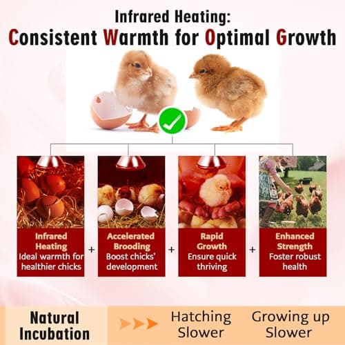 SFYJZJUUS Heat Lamp, 175W Heat lamp Bulbs, PAR38 Infrared Heat lamp, Halogen Heat for Food Service, Brooder Bulb, Chicks, Pet, Bathroom, Light Therapy Use E26 Base, Flood Light Heat Lamp. 2 Pack - Thumbnail 4