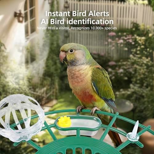 Bird Feeder with Camera,AI Identify Birds Species,Solar Powered with Rechargeable Battery,Auto Record Videos in Backyard,Instant Notifications,Ideal Gift for Family and Bird Lovers (Green) - Thumbnail 2