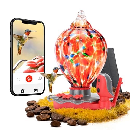 Smart Glass Hummingbird Feeder with Camera Solar Powered 2K- AI Identify & Water Detection, Instant Notification, Leakproof & Ant Moat TT Nature - Image 1