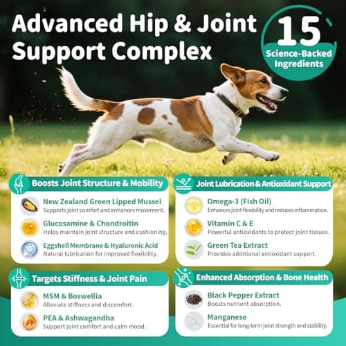 POPPAW Advanced Dog Joint Supplement – 15-in-1 Glucosamine for Dogs with Chondroitin, MSM & Green Lipped Mussel – Hip & Joint Pain Relief Mobility Chews, Chicken Flavor, 90Ct Breeds - Thumbnail 4