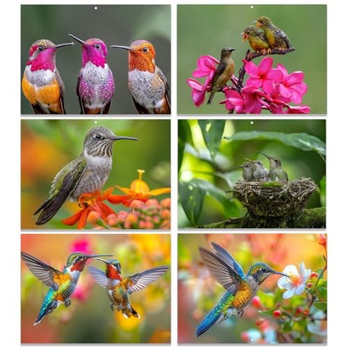 Dayvorax 2026 Wall Calendar - Monthly Calendar 2026-2027, Jan 2026 - Jan 2027, 11" x 16.5", Large Wall Calendar with Thick Paper, Large Blocks, Home or Office Calendar, Hummingbirds - Thumbnail 4