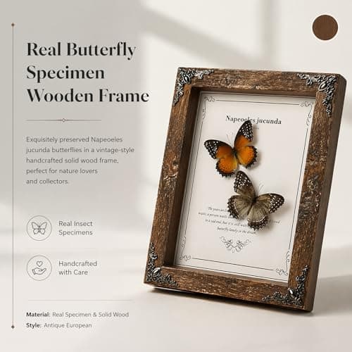 Wugakio Real Butterfly Framed - Hanging wood grain photo frame, Taxidermy Animals for Oddities and Curiosities Gifts (cethosia biblis+White saw butterfly - Wood Grain Photo Frame) - Thumbnail 3