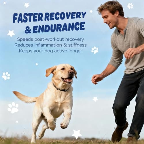 Xiderdl 11-in-1 Muscle & Weight Support Chews for Dogs – High Protein Supplement with Amino Acids, BCAAs, Antioxidants & Vitamins – Muscle Support Soft Chews for Puppies & Adult Dogs, 120 Count - Thumbnail 3