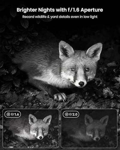 Misstech 4K UHD Solar Trail Camera, Outdoor Wildlife Cameras for Yard Monitoring, 0.1s Fast Motion-Activated to Record, 64MP/4K Clear Night Vision, No Monthly Fee, App Control, IP66, 32GB Micro SD - Thumbnail 4