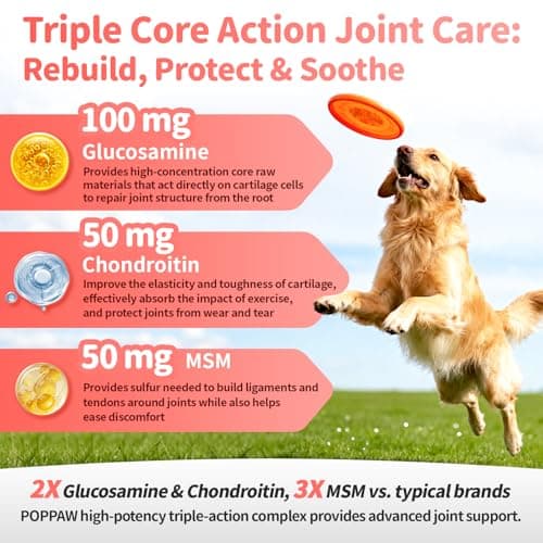 POPPAW Joint Supplement for Dogs - 10 in 1 Hip and Joint Supplement Drops with Hyaluronic Acid, Liquid Glucosamine for Dogs with Chondroitin, MSM & Omega 3-2 FL.Oz - for All Breeds & Sizes - Thumbnail 2