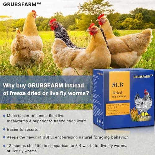 GRUBSFARM Premium Dried Black Soldier Fly Larvae for Chickens 5LBS - Superior to Mealworms - 85X More Calcium Than Meal Worms - Molting & Laying Hens Supplement - Non-GMO BSF Larvae Treats for Ducks - Thumbnail 3