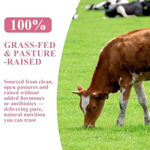 BudLive Beef Organ Supplement for Women – 100% Grass-Fed & Pasture Raised [Ovary, Liver, Spleen, Kidney & Heart] Primal Nutrition for Hormone Support, Energy & Wellness, 90 Capsules - Thumbnail 3