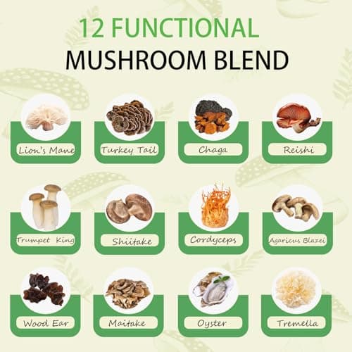 Mushroom Matcha with 12 Mushrooms with Lion's Mane, Chaga and Probiotics, Ceremonial Grade Matcha Powder for Focus, Digestion & Immunity - 30 Servings - Thumbnail 3