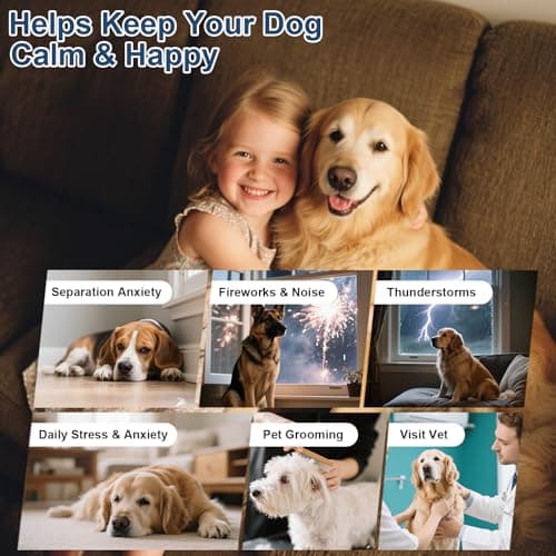 SNAZFIRST Calming Chews for Dogs Anxiety Relief, Dog Calming Chews-Anxiety and Stress Relief Treats Melatonin Bites Sleep Aid Calm Dog with Noise,Thunder,Barking,Separation(Chicken Flavor, 150 Chews) - Thumbnail 4