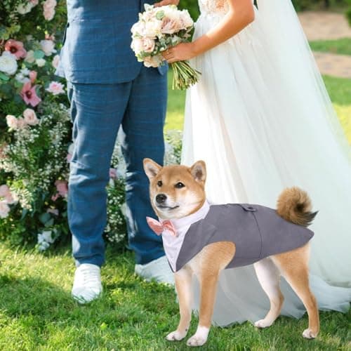 DORA BRIDAL Dog Tuxedo for Large Dogs, Dog Suit and Bowtie, Formal Dogs Wedding Outfit, Pet Tuxedo and Bandana Set Valentines Birthday Christmas Party Costumes for Labrador,Golden Retriever, Grey, 2XL - Thumbnail 5