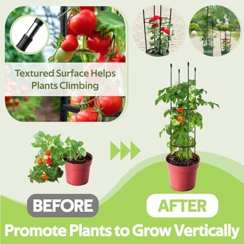 2 Pack Tomato Cages for Garden - Heavy Duty Tomato Trellis for Climbing Plants Outdoor & Indoor - 63 Inch Adjustable Tall Plant Cage & Support Garden Stakes for Pots Vegetables Flowers Fruits Vines - Thumbnail 4