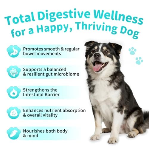 Probiotics for Dogs, Digestive Enzymes & Pumpkin Fiber for Gut Health and Bowel Support, Dog Supplement for Gas Relief & Constipation, 10B CFU with 5 Prebiotics & 5 Enzymes, 90 Count Beef Flavor - Thumbnail 5