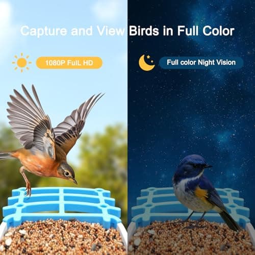 wooaismart Smart Bird Feeder with Camera - Solar Powered, AI Identify for Effortless Birdwatching, Auto Captures HD Pictures & Videos, Instant Notifications for Bird Lovers Enthusiasts - Thumbnail 5
