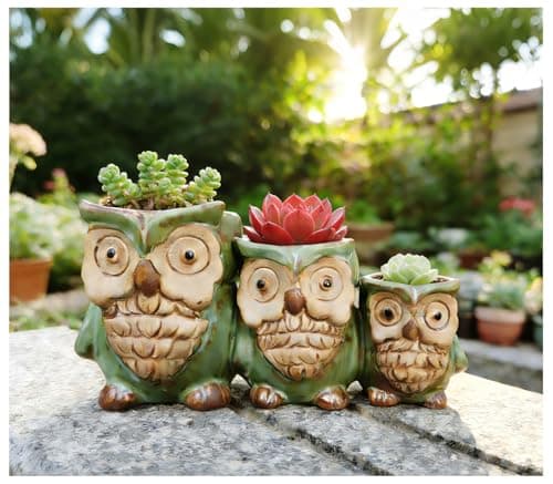 Giafiny Cute Owl Planter, Small Funny Succulent Pots, Unique Decorative Animal Statue Ceramics Plant Pot for Indoor/Outdoor Home Office with Drainage, Owl Gifts for Women Mother Teacher, Three Owls - Image 1