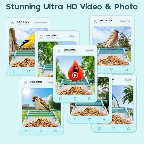 BROAIMX Bird Feeder with Camera- Free AI Forever for 1,1000+ Species Identification, 2K HD & Full Color Night Vision, Solar Powered Wireless Outdoor, Includes 64GB TF Card, Two-Way Audio, App Alerts - Thumbnail 4