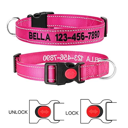 Personalized Dog Collar - Reflective Custom Embroidered with Pet Name and Phone Number for Boy and Girl Dogs, 4 Adjustable Sizes, XSmall,Small, Medium and Large - Thumbnail 6