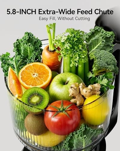 Cold Press Juicer, EUHOMY 5.8" Wide Feed Chute Juice Extractor Machine with 400W, High Juice Yield, Slow Masticating Juicer for Whole Vegetables & Fruits, Deep Silver - Thumbnail 2