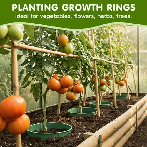 42pcs 13.5 inch Planting Grow Ring, Plant Growing Rings, Adjustable Round Tree Rings, Planting Protective Edging for Outdoor Vegetables, Herbs, Flowers - Thumbnail 2