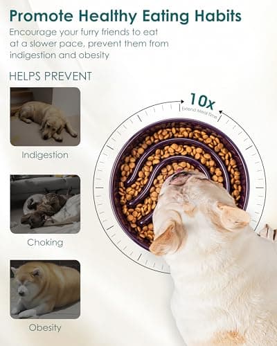 vancasso Slow Feeder Dog Bowl, 0.6 Cup Ceramic Slow Feeding Food Dish for Small Breed, Puzzle Dog Food Bowl for Fast Eater, Dark Purple - Thumbnail 3