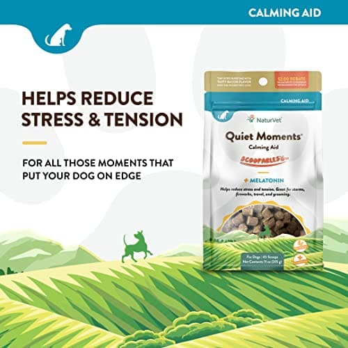 NaturVet Scoopables Quiet Moments Dog Calming Aid for Dogs - Promotes Calm with Stressful Events Like Storms, Fireworks, Travel, Separation Anxiety - Hickory Smoked Bacon Flavored | 11oz Bag - Thumbnail 3