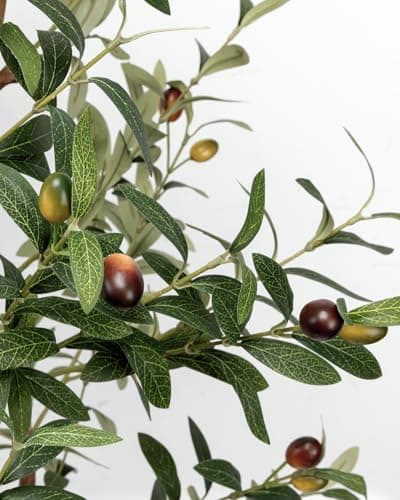 LuceAlberi 6FT Artificial Olive Tree - Indoor Tall Faux Olive Trees with Planter&Basket, Large Fake Olive Silk Tree Realistic Olive Plants with Branches and Fruits for Home Decor Office Living Room - Thumbnail 5