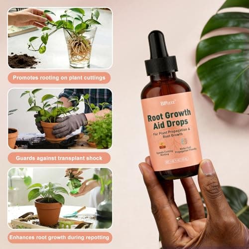 Root Drops Liquid Rooting Hormone for Cuttings | Fast Propagation Drops, Stronger Roots, Less Shock | Works in Water, Soil, Leca, Moss | for All Indoor Houseplants Like Pothos, Monstera (4 oz*2) - Thumbnail 6