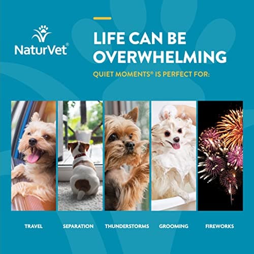NaturVet Scoopables Quiet Moments Dog Calming Aid for Dogs - Promotes Calm with Stressful Events Like Storms, Fireworks, Travel, Separation Anxiety - Hickory Smoked Bacon Flavored | 11oz Bag - Thumbnail 4