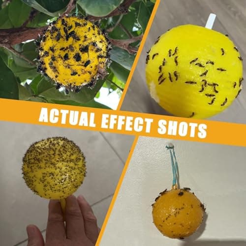 Osspeh Sticky Fruit Fly Trap Ball, Flying Traps Outdoor and Bugs Sticky Ball, Sticky Fly Gnat Mosquito Bugs Flying Killer and Insects Trap Ball Traps(6pcs Yellow) - Thumbnail 4