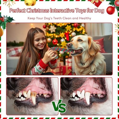Onwoli Christmas Dog Rope Toys, Christmas Cane Candy Rope Toy, 4 Packs Dog Interactive Chewing Toys for Puppy Small Medium Dogs Training Playing Teething Cleaning, for Dogs - Thumbnail 2