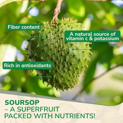 Biolore Soursop Graviola Gummies – 30 Days Supply, Soursop Leaf & Fruit Extract, Natural Apple Flavor, Sugar Free, Gluten Free, Vegan Friendly - Thumbnail 3