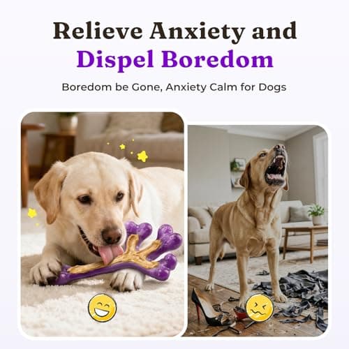 Frienhund 2-Pack Indestructible Dog Chew Toys for Aggressive Chewers: Textured Cactus with Grooves for Peanut Butter & Yogurt, Beef Nylon Bones for Large Dogs 20-90 lbs, Easy Chew & Long Lasting - Thumbnail 2
