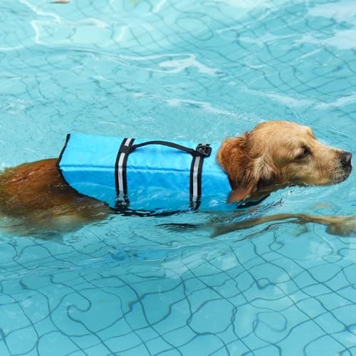 Doglay Dog Life Jacket with Rescue Handle, Dog Life Vest for Swimming Boating, Adjustable Reflective Puppy Swim Vest with Superior Buoyancy for Small Medium Large Dogs - Thumbnail 5