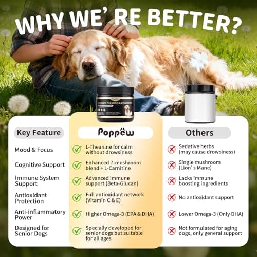 POPPAW Advanced Calming Chews for Dogs-Brain & Composure Support with 7 Mushrooms, Ashwagandha, Omega-3 DHA & EPA, Anxiety Relief Dog Calming Treat, All Breeds & Sizes, Chicken Flavor, 90Ct - Thumbnail 6