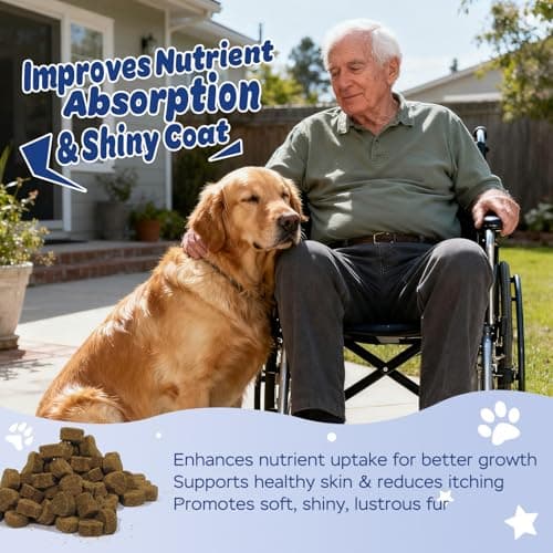 Xiderdl Dog Probiotic Soft Chews – 6-Strain Blend for Digestive & Immune Health – Supports Gut Balance, Reduces Gas, Tasty Daily Treat for Dogs-120 Count - Thumbnail 3