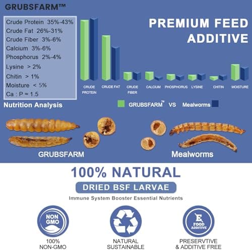 GRUBSFARM Premium Chicken Treats 10LB - Superior to Dried Mealworms - Non-GMO & 85X More Calcium Than Meal Worms - Molting & Laying Supplement - BSF Larvae Treats for Layer Hens, Ducks Wild Birds - Thumbnail 2
