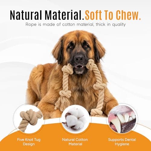 Ali+Oli Pets Dog Rope Toy for Large Dogs, Heavy Duty 5-Knot Cotton Tug-of-War Rope for Aggressive Chewers, Durable Interactive Chew Toy - Thumbnail 6