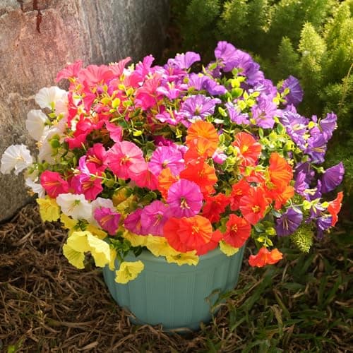 Fanfantoey Artificial Flowers for Outdoor, UV Resistant Fake Plants Outside Decoration, 14 Pcs Realistic Silk Morning Glory Faux Flowers for Porch Patio Gardens Home Decor(14, 6 Mixed) - Thumbnail 6