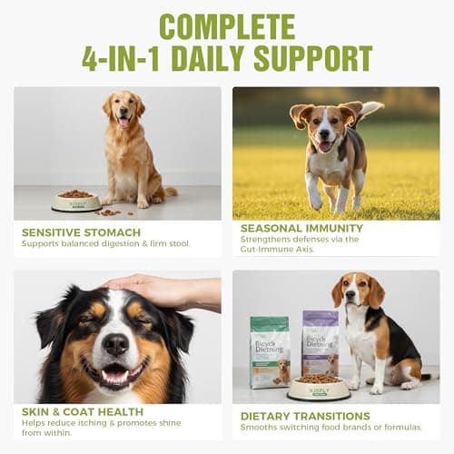 KISFLY Dog Probiotics 2 Billion CFU & 6 Strains - Advanced Digestive Support with Bacillus Subtilis - Soft Chews for Gut Health, Bloating & Healthy Stool - Daily Supplement for All Breeds - Thumbnail 3