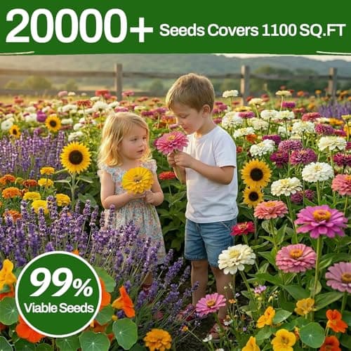 10 Varieties Flower Seeds in Individual Packs, 66,600+ Non-GMO Seeds Indoor Outdoor, Includes Zinnia Lavender Sunflower Marigold Cosmos Nasturtium Snapdragon Borage Yarrow Calendula, Wildflower Seeds - Thumbnail 5