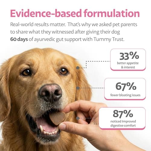 Ayourpets Dog Digestive Chews for Diarrhea, Loose Stool & Sensitive Stomachs – Herbal Gut Support with Ginger, Fennel & Turmeric – Pork Flavor – 90 Count - Thumbnail 2