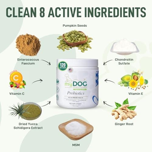 My Dog Sanctuary Probiotics for Dogs 120 Chews - Digestive Enzymes & Gut Health Support with Pumpkin Seed, Ginger Root – Dog Probiotics for Diarrhea, Bowel & Immune Support - Bacon Flavor, Soft Chews - Thumbnail 3