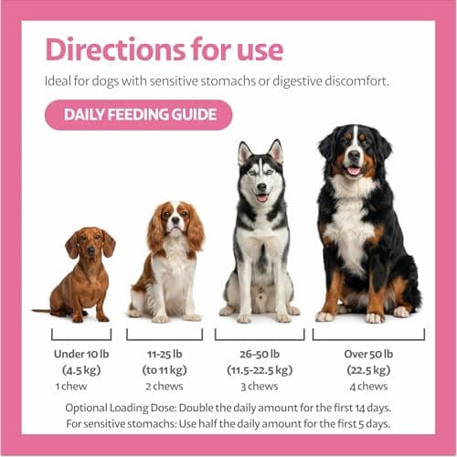 Ayourpets Dog Digestive Chews for Diarrhea, Loose Stool & Sensitive Stomachs – Herbal Gut Support with Ginger, Fennel & Turmeric – Pork Flavor – 90 Count - Thumbnail 5