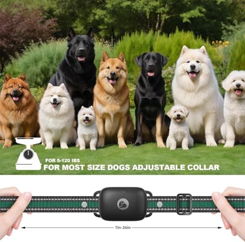 Heaflex Dog Training Collar 3 Dogs, Dog Shock Collar with Remote - 2600Ft Range, Rechargeable Waterproof Electric Dog Collar, 3 Training Modes (Vibration, Beep, Shock) for E-Shock Collar（Black） - Thumbnail 3