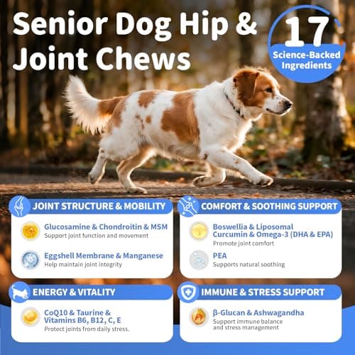 POPPAW Senior Advanced Joint Supplement for Dogs – 17-in-1 Glucosamine for Dogs with Chondroitin – Hip & Joint Pain Relief Pills – Mobility Support Chews – Large & Small Breeds - Chicken Flavor – 90Ct - Thumbnail 4