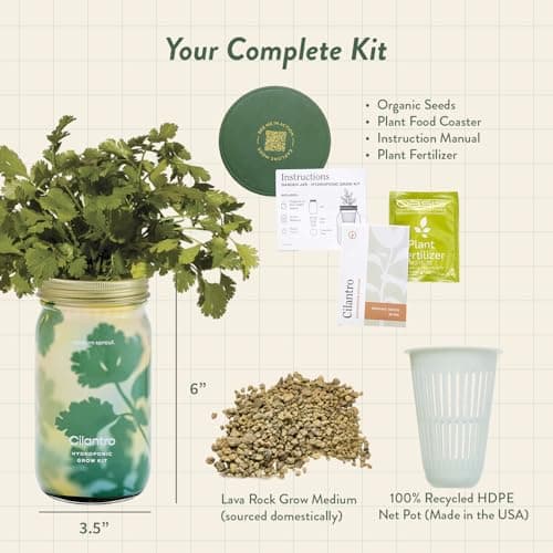 Modern Sprout Mason Garden Jar - Self-Watering Hydroponics Growing System Kit with Organic Herb Seeds - Jar Planter for Indoor Herb Garden - Seed Starter Kit - Home Decor & Gifting - Cilantro - Thumbnail 3