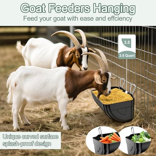 Tiflev Goat Feeders Hanging 3.5 Quart, Chicken Waterer Feeder Trough for Poultry Livestock (Black Pack*6) - Thumbnail 2
