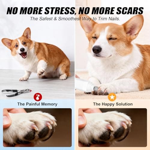 AOFANPET Dog Nail Grinder,2026 New Updated Quiet Electric 2-Speed Professional Pet Nail Grinder with Quick Sensor, Rechargeable Painless Trimmer for Large to Small Dogs & Cats, LED Light & Guard - Thumbnail 3