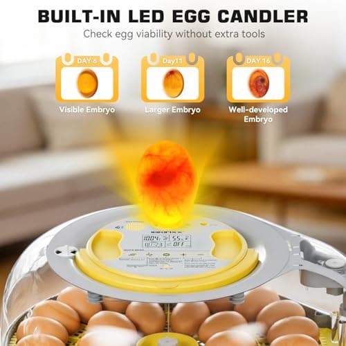 IBKINXX 26 Egg Incubator for Hatching Eggs with Smart Voice Guidance, 360° View with Automatic Temperature & Humidity Control, Auto Egg Turning & Built-in Egg Candler for Chicken, Duck, Goose & Quail - Thumbnail 4