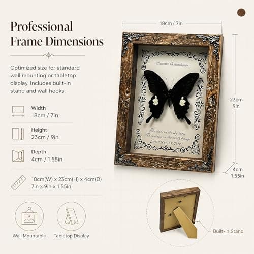 Wugakio Real Butterfly Framed - Hanging wood grain photo frame, Taxidermy Animals for Oddities and Curiosities Gifts (Jade spotted butterfly - Wood Grain Photo Frame) - Thumbnail 6