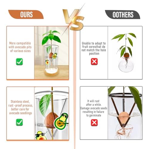 KONIDUN Avocado Seed Starter Vase - Avocado Tree Growing Kit with Base and Sticker, Glass Avocado Pit Sprouting Plant Pot Gift for Women, Gardening Lovers Home Office Table Decoration, Indoor No Seed - Thumbnail 5